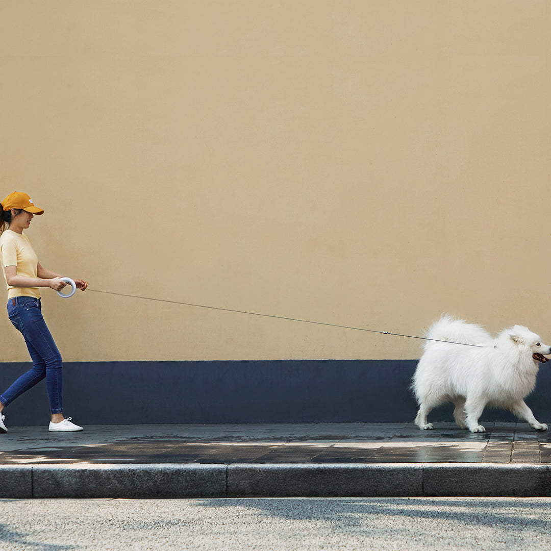 Replaceable Bungee Cord