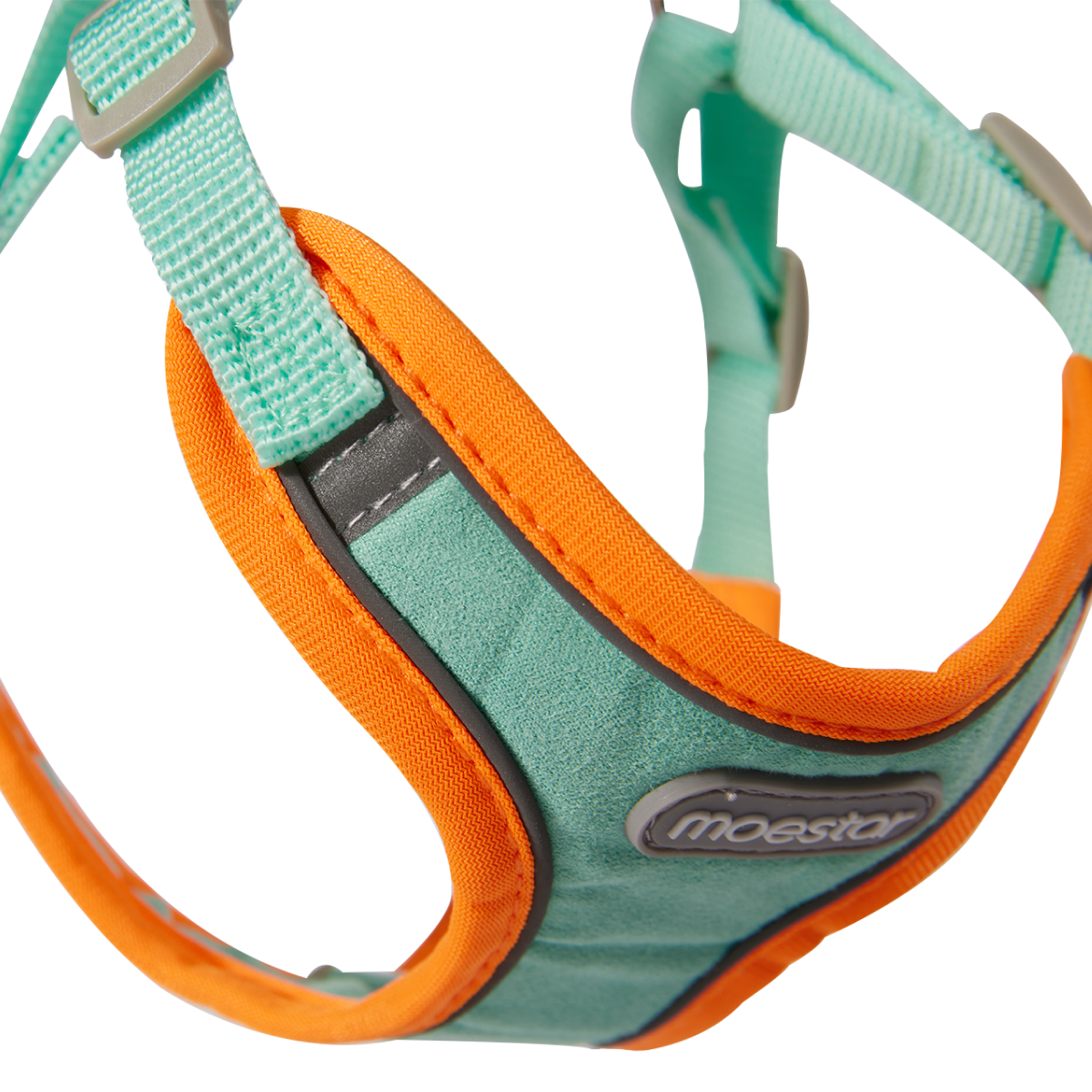 Pawsitively Awesome Pet Harness