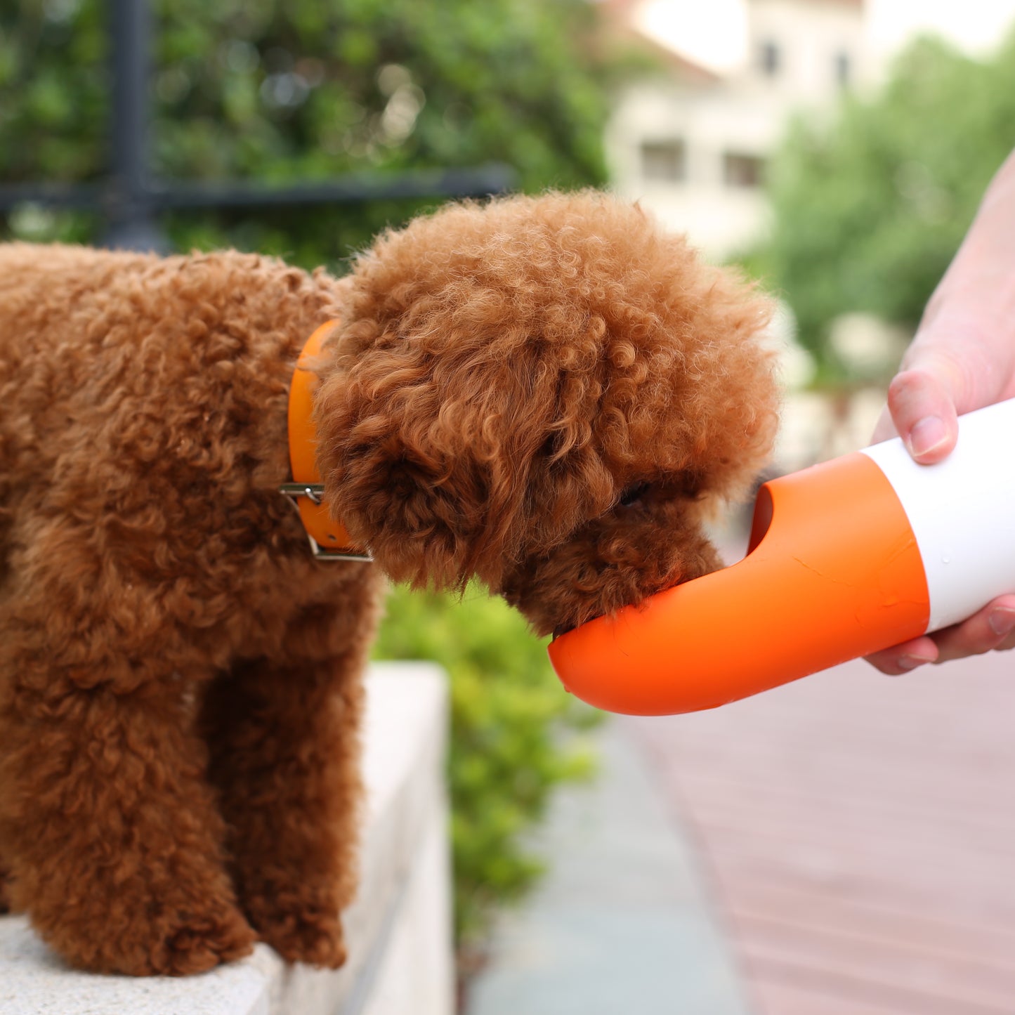 The Rocket Multi-Functional Portable Bottle